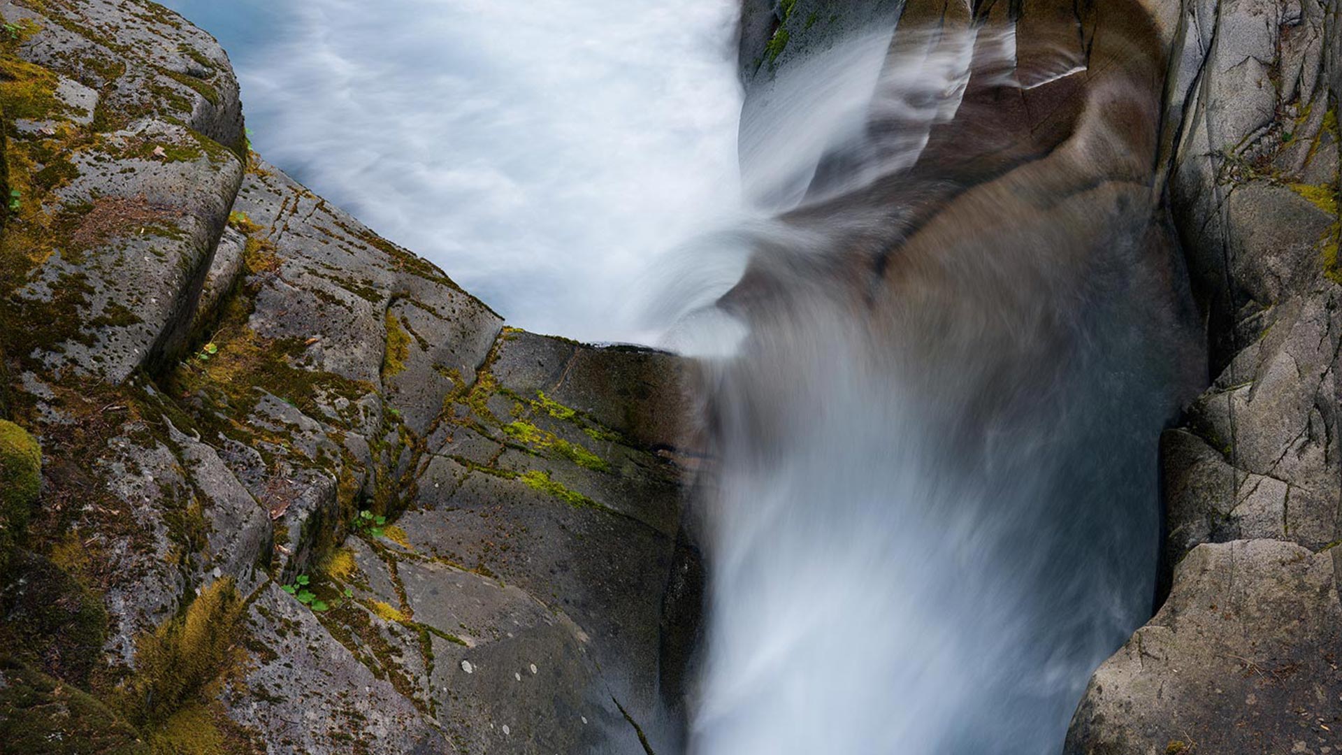 Mount Rainier National Park: 12 Landscape Photographs Made with a Hasselblad Digital Back and Technical Camera