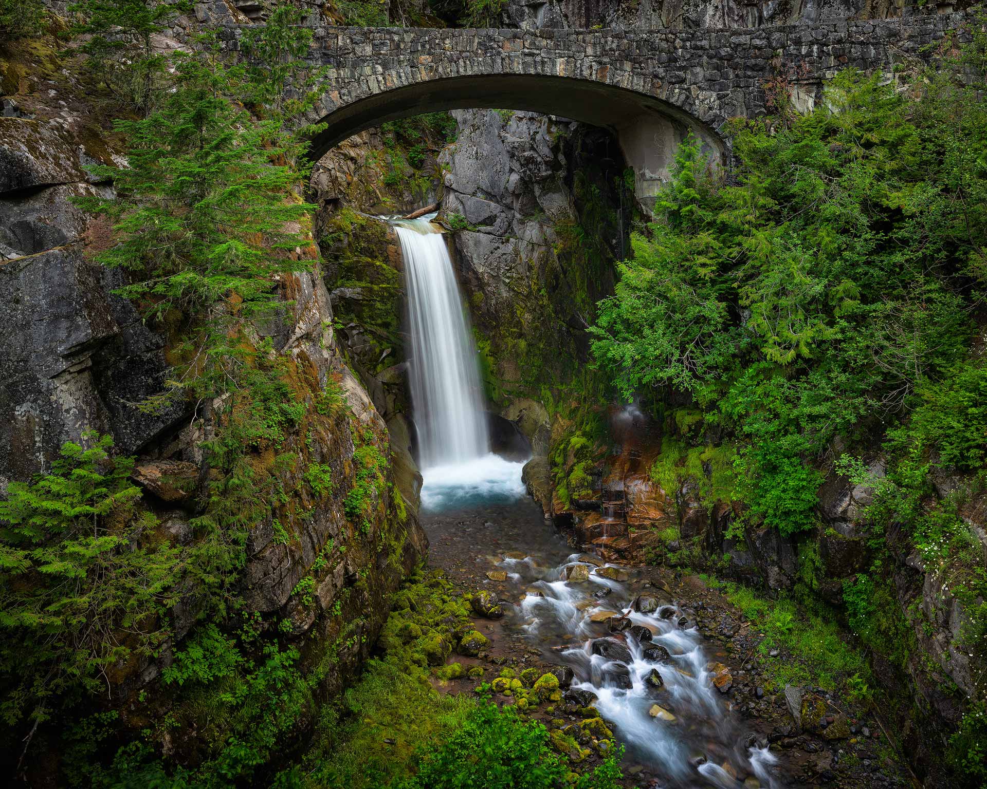 Christine Falls