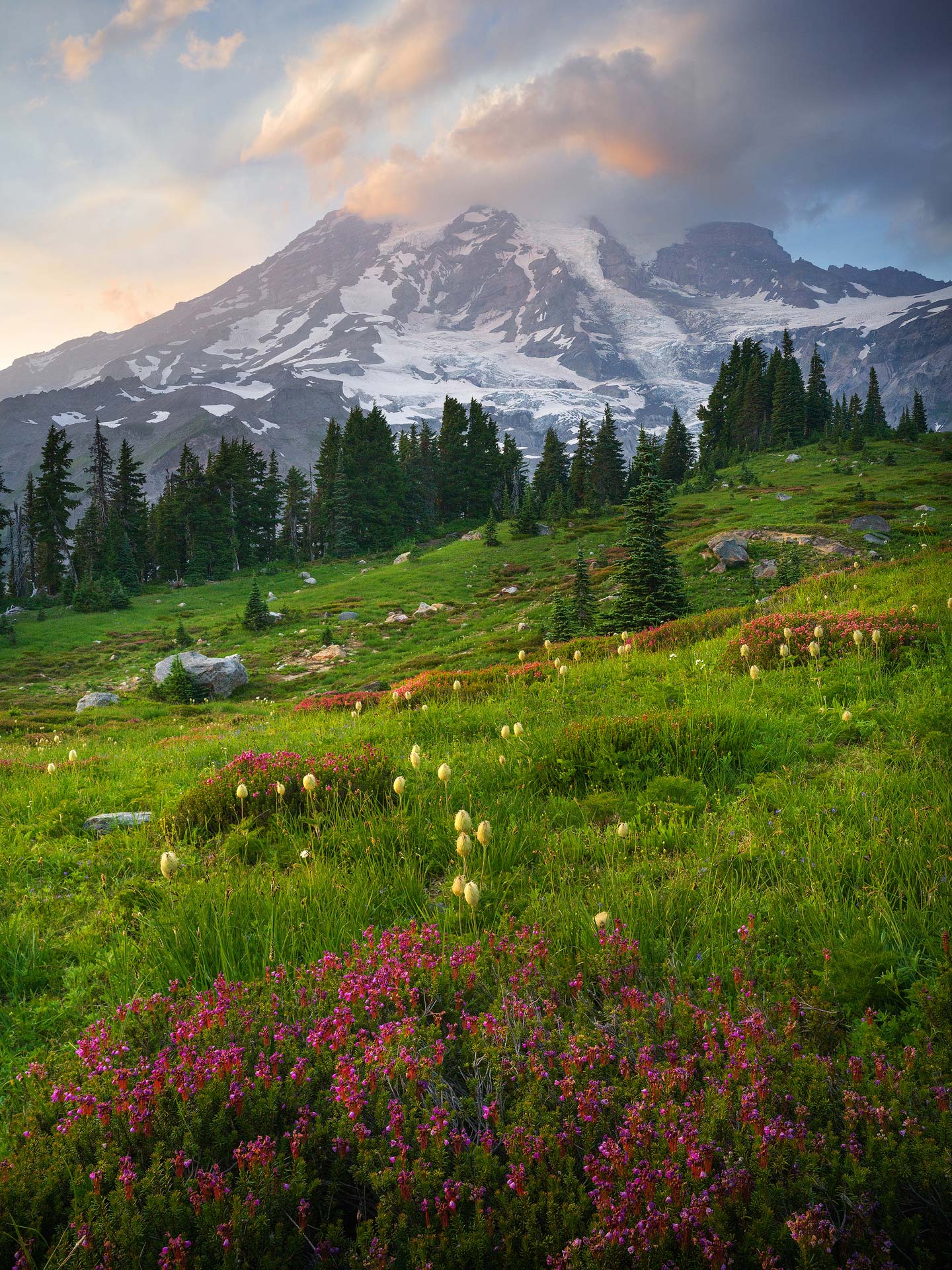 Mount Rainier from Paradise