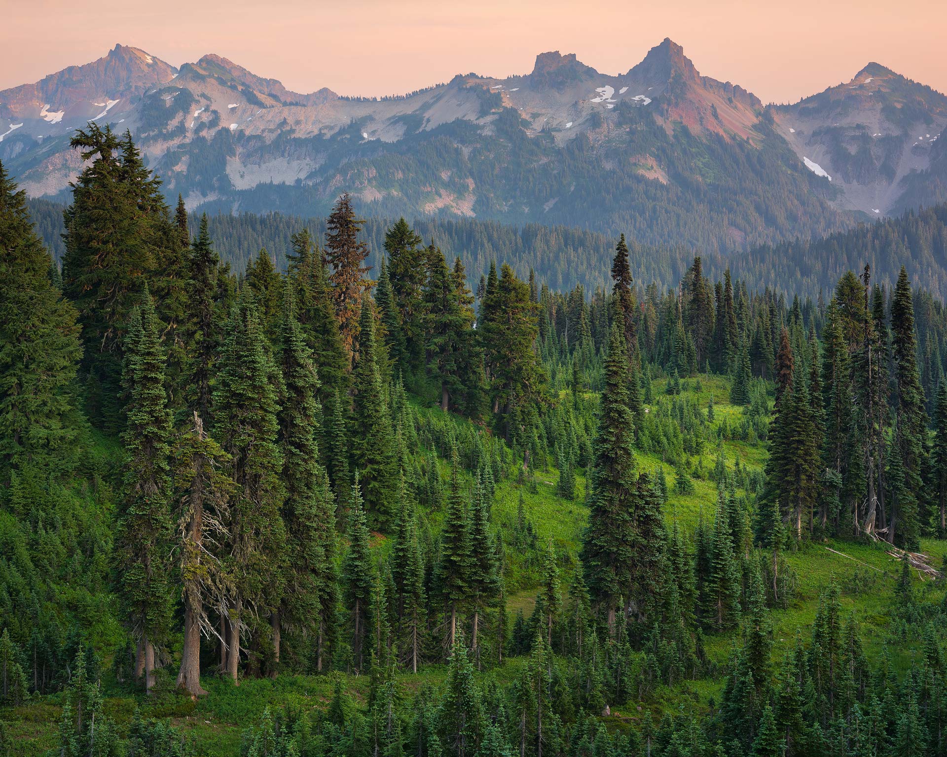 Tatoosh Range and Paradise Valley