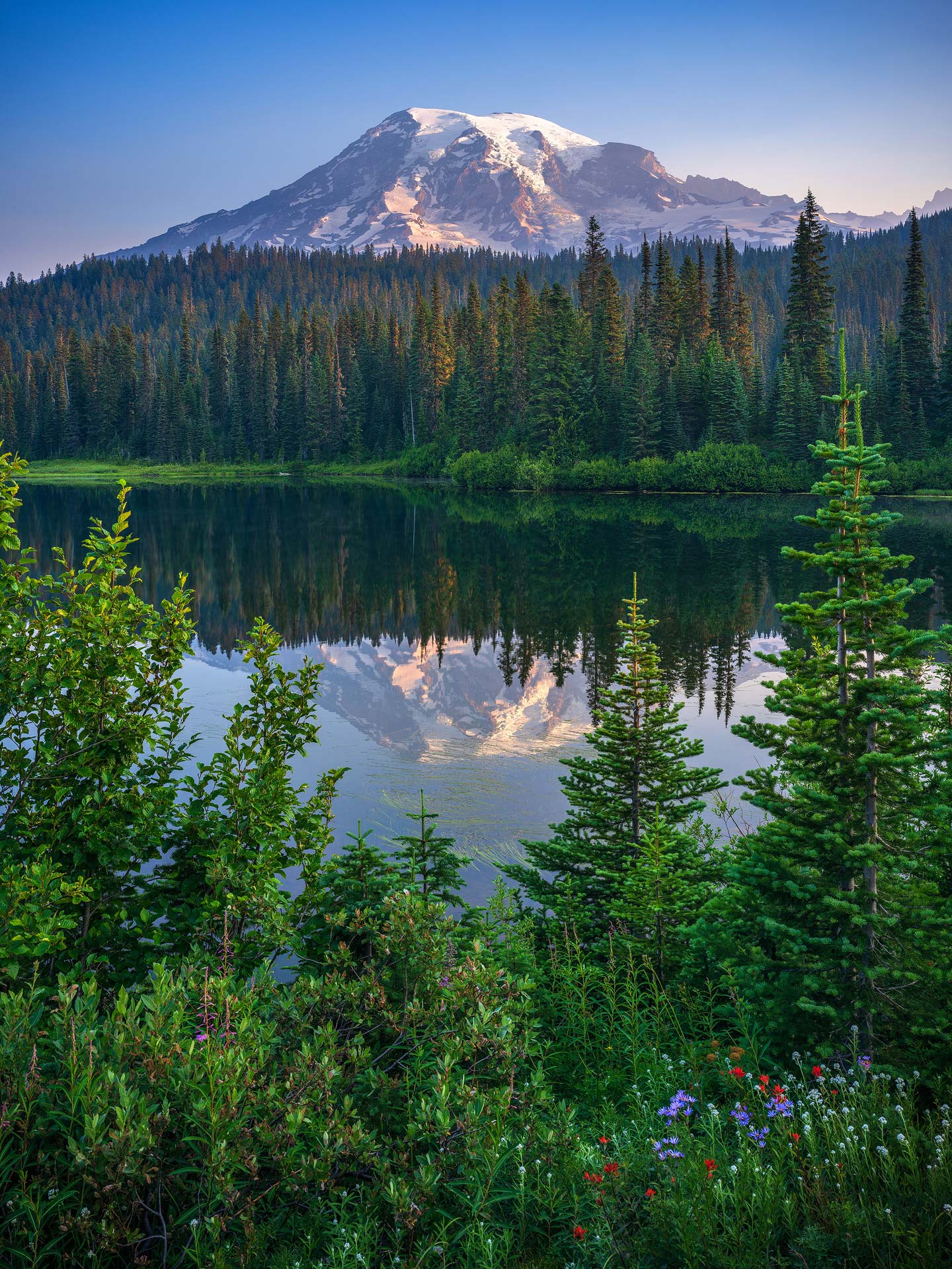 Mount Rainier Reflected in Reflection Lake